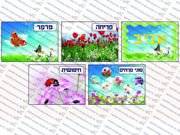 ערכת המחשה עונת האביב