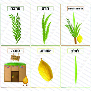 ערכת תמונות חג סוכות