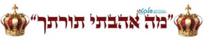 מדבקת קיר "מה אהבתי תורתך"