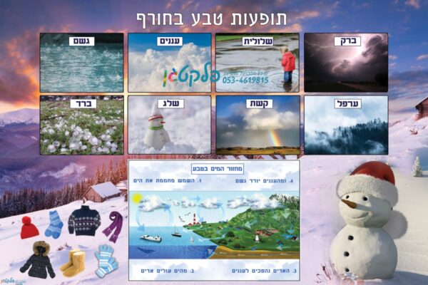 שמשונית המחשה עונת החורף