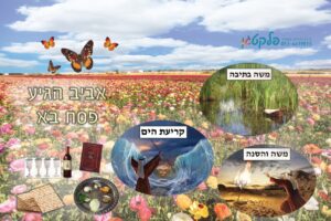 שמשונית המחשה חג פסח - אביב
