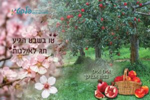 שמשונית המחשה לטו בשבט - חג לאילנות