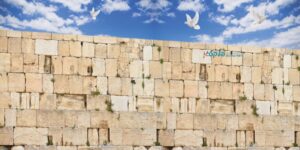 שמשונית יום ירושלים "הכותל המערבי"
