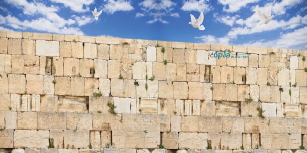 שמשונית יום ירושלים "הכותל המערבי"