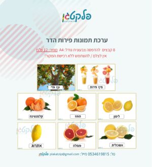 ערכת תמונות פירות הדר