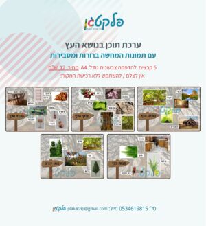 ערכת תוכן בנושא העץ